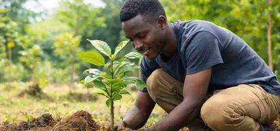 A man planting trees